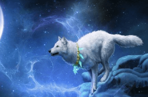 Galaxy:Fg38lov-Ebe= Wolf