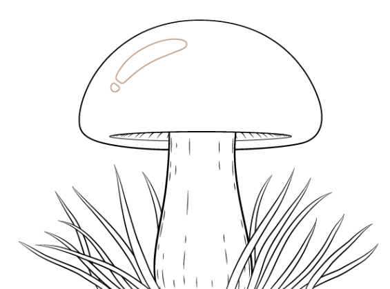 Drawing:Plcxcsjeqpq= Mushroom