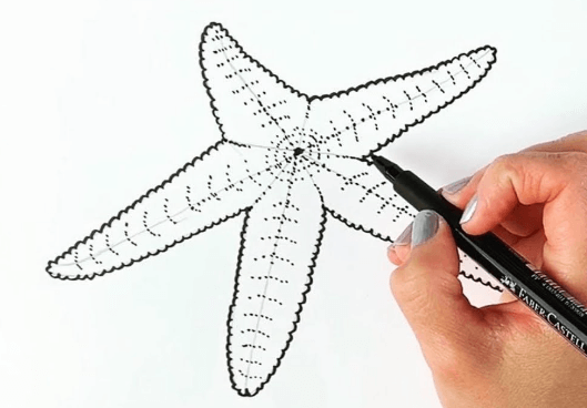 Drawing:Ox04kafpixm= Starfish