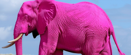 Pink:D6cpfpnz8cg= Elephants