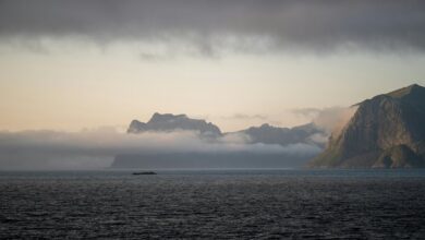 market matrix data points