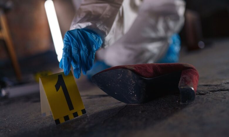 number registry evidence search