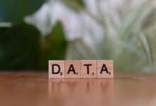 public database phone lookup