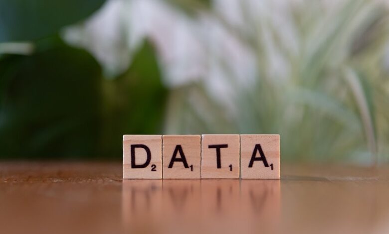 public database phone lookup